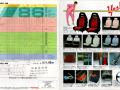 Japanese Sprinter Trueno AE86 accessories brochure - Overview and other accessories